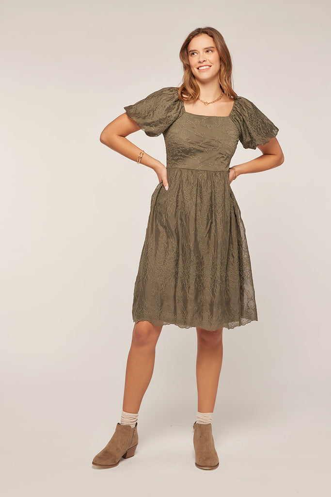 The Jillian Embroidered Chiffon Dress in Olive