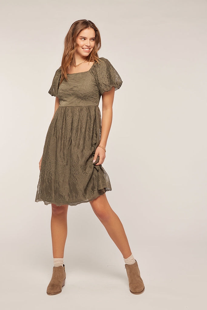 The Jillian Embroidered Chiffon Dress in Olive